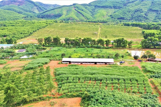 Huyện Hương Khê- Hà Tĩnh: Giảm ô nhiễm môi trường từ chăn nuôi quy mô tập trung
