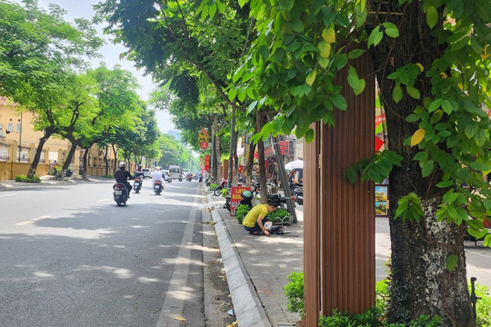 Đổi thay trên phố Nguyễn Thái Học