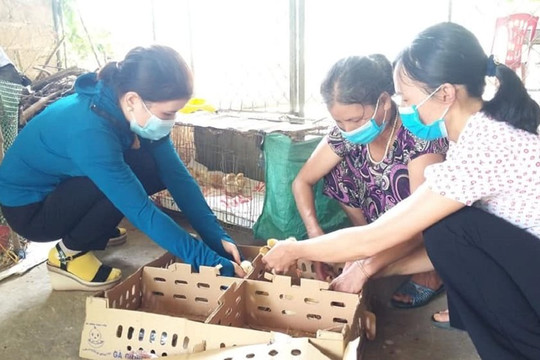 Vũ Quang - Hà Tĩnh: Gom rác tái chế gây quỹ giúp hộ nghèo vươn lên trong cuộc sống
