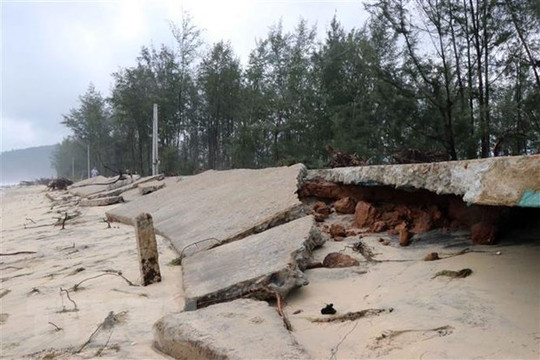 Công bố tình huống khẩn cấp sự cố sạt lở bờ biển tại Duyên Hải, Trà Vinh