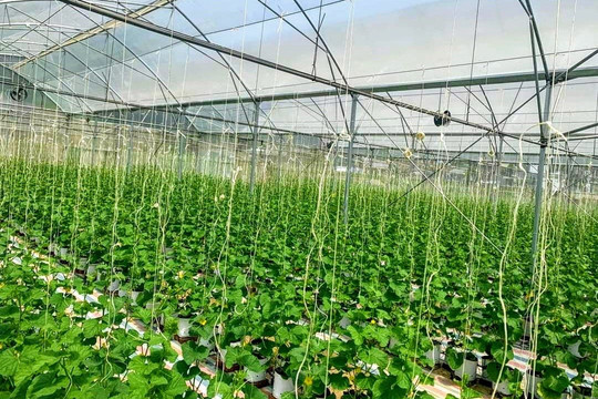 Bắc Kạn: Ứng dụng khoa học vào nông nghiệp để phát triển bền vững