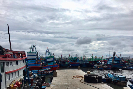 Bà Rịa – Vũng Tàu ngư dân tích cực vươn khơi, bám biển: Hướng tới cuộc sống ấm no