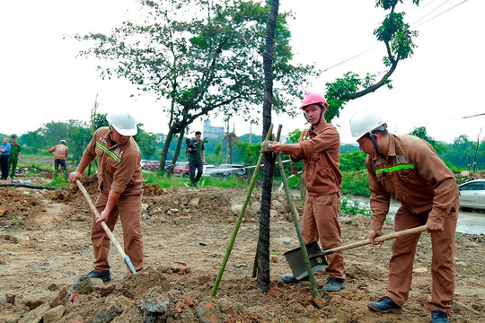 Lào Cai: Bảo vệ môi trường bằng xanh hoá khu công nghiệp