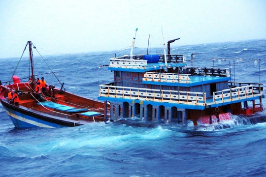 Thủ tướng chỉ đạo khẩn trương tìm kiếm, cứu nạn ngư dân trên 2 tàu cá bị chìm tại khu vực đảo Song Tử Tây