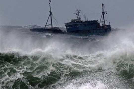 Các tỉnh, thành ven biển từ Quảng Ninh đến Bình Định chủ động ứng phó với bão số 5 và mưa lớn