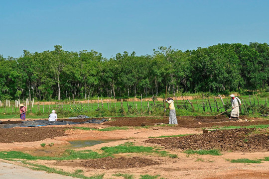 Kon Tum: Xác định định mức đất ở, đất sản xuất cho hộ gia đình thiếu đất