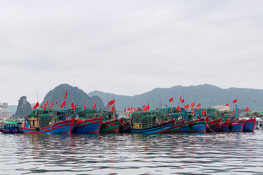 Quảng Ninh: Tạm ngừng cấp phép cho các phương tiện thuỷ ra khơi