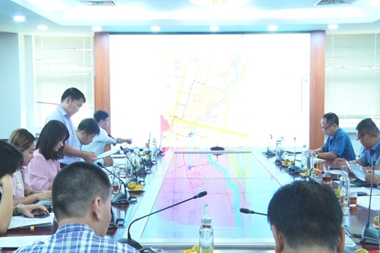 Hội đồng thẩm định hồ sơ chuyển mục đích sử dụng đất lúa để thực hiện dự án tại Bình Định