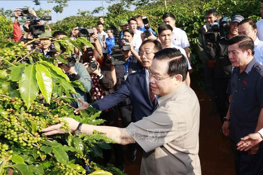 Chủ tịch Quốc hội thăm vùng trồng và dự Lễ khánh thành Nhà máy chế biến cà phê Sơn La