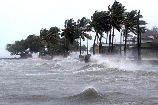 Các tỉnh, thành ven biển từ Quảng Ninh đến Kiên Giang chủ động ứng phó với gió mạnh trên biển