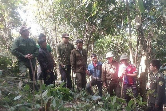 Điện Biên: Người Hà Nhì giữ rừng xanh nơi biên giới