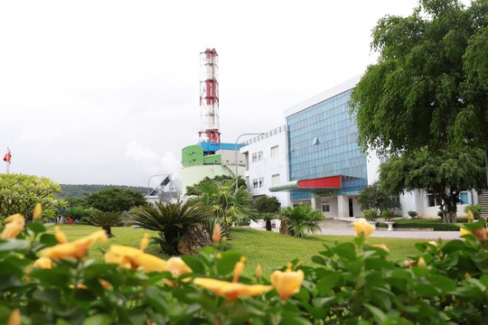 Công ty Nhiệt điện Nghi Sơn: Tích cực xây dựng không gian xanh, môi trường sạch