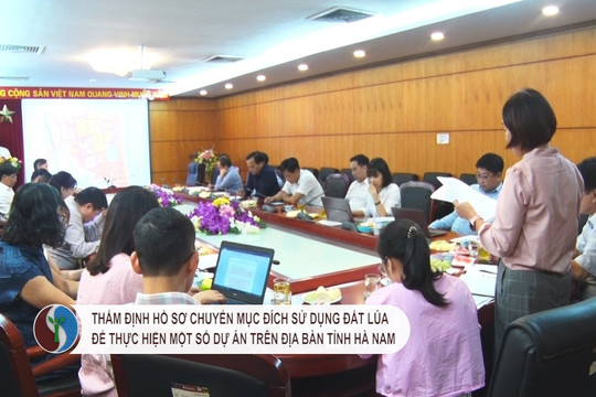 Thẩm định hồ sơ chuyển mục đích sử dụng đất lúa để thực hiện một số dự án trên địa bàn tỉnh Hà Nam