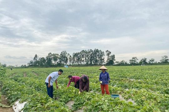 Bài 3: Ngành nông nghiệp Quảng Ninh thích ứng với biến đổi khí hậu