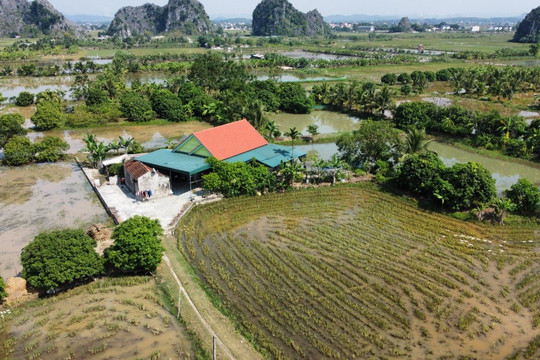 Hà Trung (Thanh Hóa): Hàng chục ngôi nhà kiên cố "mọc" trên đất nông nghiệp