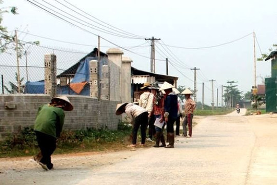 Điện Biên: Giữ vững tiêu chí mềm nông thôn mới