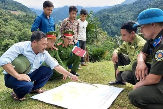Huyện vùng cao Quỳ Châu làm tốt công tác trồng và bảo vệ rừng
