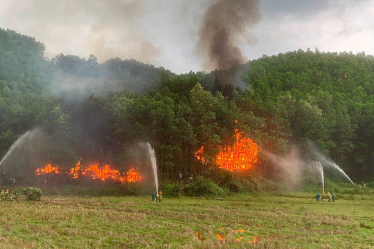Tăng cường kiểm tra, nhiều nguy cơ cháy rừng ở cấp cực kỳ nguy hiểm