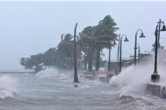 Dự báo thời tiết ngày 27/11: Đề phòng gió mạnh, sóng lớn trên Biển Đông