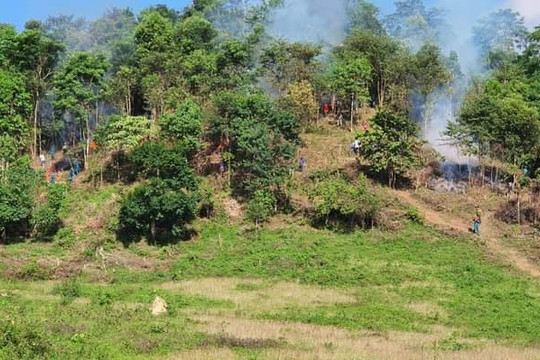 Công tác quản lý, phòng cháy chữa cháy rừng ở huyện Nậm Nhùn
