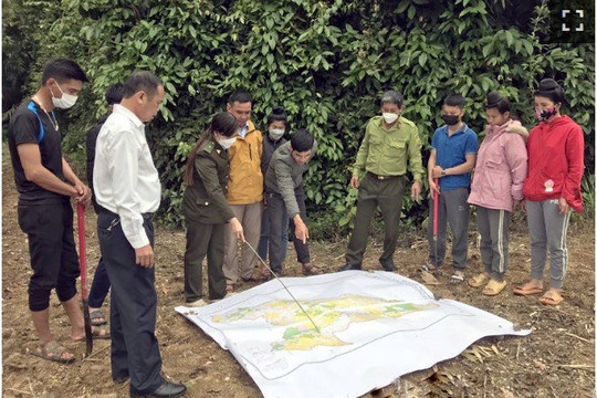 Điện Biên: Điều chỉnh kế hoạch giao đất, giao rừng và cấp GCNQSDĐ đất lâm nghiệp