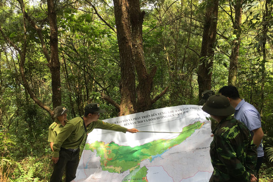 Sơn La: Thí điểm quản lý, bảo vệ rừng bền vững tại 4 lưu vực thủy điện nhỏ