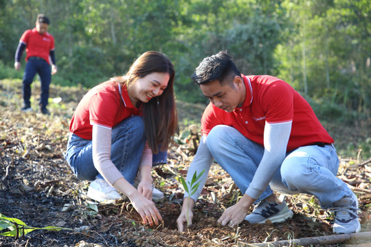 SeABank tiếp tục phủ xanh 3ha rừng phòng hộ tại Thanh Hóa