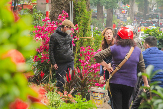 Không khí tấp nập đầu năm mới 2024 tại các chợ hoa Hà Nội