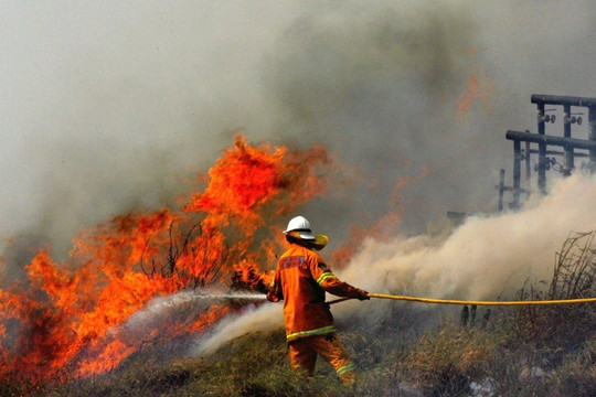 Lo ngại trước hàng loạt vụ cháy rừng thảm khốc