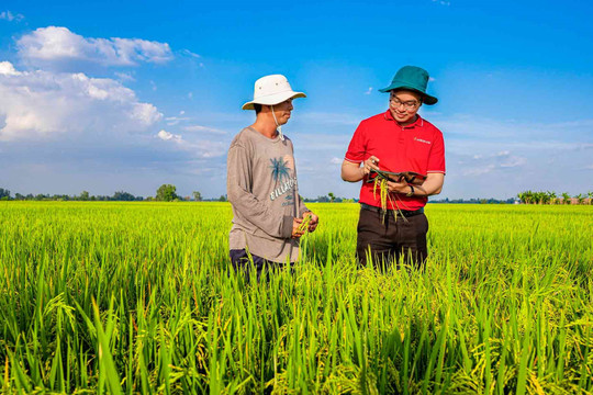 Tín dụng nông nghiệp góp phần phát triển kinh tế vùng Đồng bằng sông Cửu Long