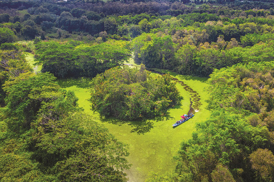 Khu Bảo tồn thiên nhiên Lung Ngọc Hoàng: Gìn giữ “lá phổi xanh” vùng Đồng bằng sông Cửu Long