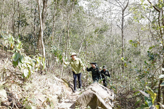 Bí thư Lào Cai Đặng Xuân Phong đến thực địa kiểm tra vụ cháy rừng Hoàng Liên