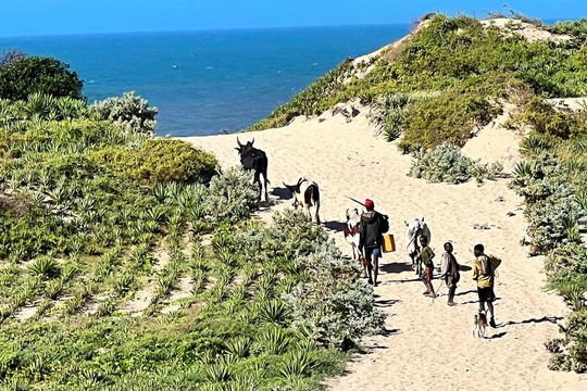 Madagascar thích nghi với thực tế mới về biến đổi khí hậu