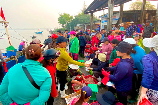 Thừa Thiên – Huế: Ngư dân nỗ lực vươn khơi đầu xuân