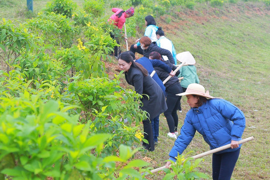 Phú Thọ: Phụ nữ chung tay bảo tồn di sản văn hóa và bảo vệ môi trường