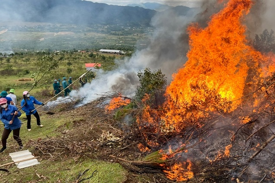 Bắc Giang: Tăng cường ứng phó công tác phòng cháy, chữa cháy rừng