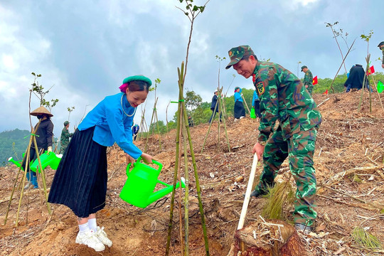 Quảng Ninh: Chủ động ứng phó với biến đổi khí hậu
