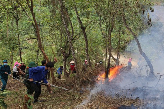 Lai Châu tăng cường các biện pháp phòng cháy chữa cháy rừng