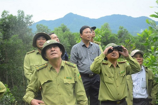 Quảng Nam: Bảo vệ đa dạng sinh học để nâng cao giá trị du lịch sinh thái
