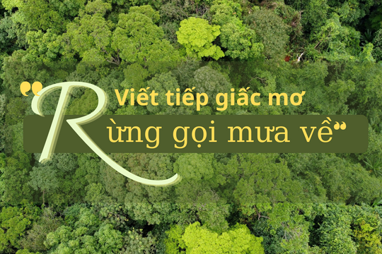 Viết tiếp giấc mơ "Rừng gọi mưa về"