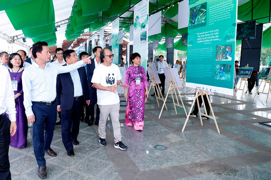 Bộ trưởng Đặng Quốc Khánh tham quan triển lãm về đa dạng sinh học tại Quảng Nam