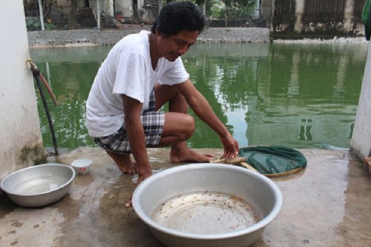 Mỹ Lộc – Nam Định: Hỗ trợ nông dân xây dựng mô hình sản xuất liên kết xanh, sạch