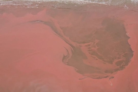 Hà Tĩnh: Nước biển ở Cẩm Xuyên có màu đỏ kỳ lạ nghi do tảo nở hoa