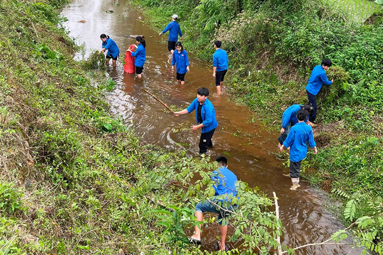 Lào Cai: Tuổi trẻ Bảo Yên chung tay bảo vệ môi trường