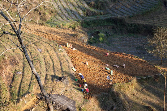Bắc Hà (Lào Cai) quản lý đất nông trường, lâm trường: Đúng pháp luật, tạo sự đồng thuận trong nhân dân