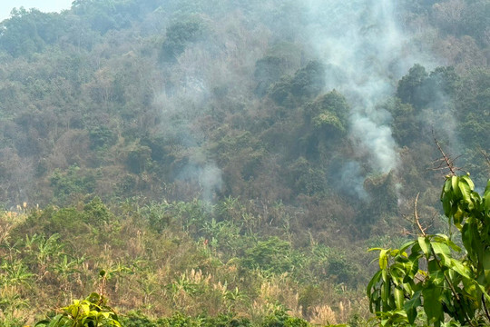 Mường La (Sơn La): Liên tiếp xảy ra 2 vụ cháy rừng