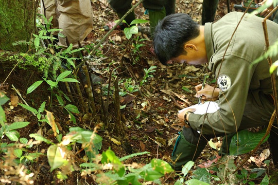 Quảng Nam: Nơi “hội ngộ” của các dự án quốc tế bảo tồn động vật hoang dã