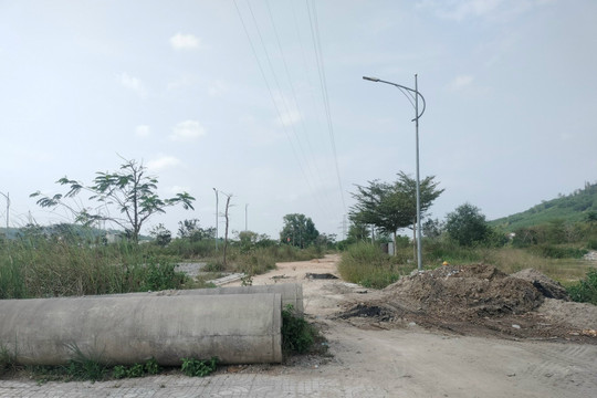 Quảng Ngãi: Dự án “đắp chiếu” gây lãng phí đất
