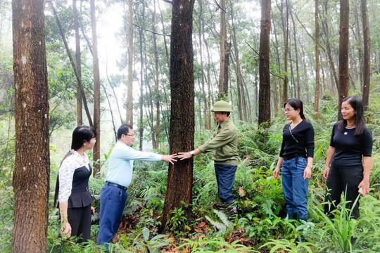 Quảng Ninh: Bảo vệ môi trường, phát triển kinh tế bền vững vùng đồng bào dân tộc