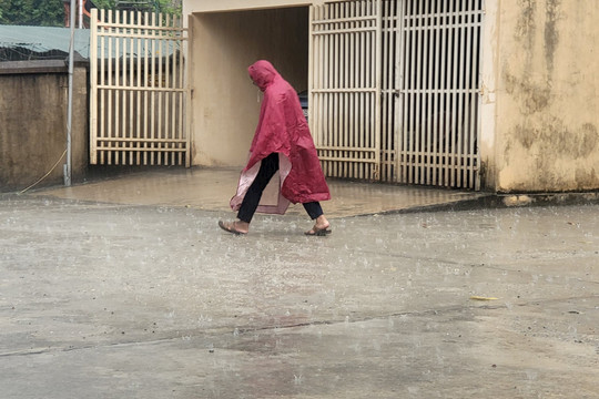 Điện Biên đón cơn “mưa vàng” sau những ngày oi bức